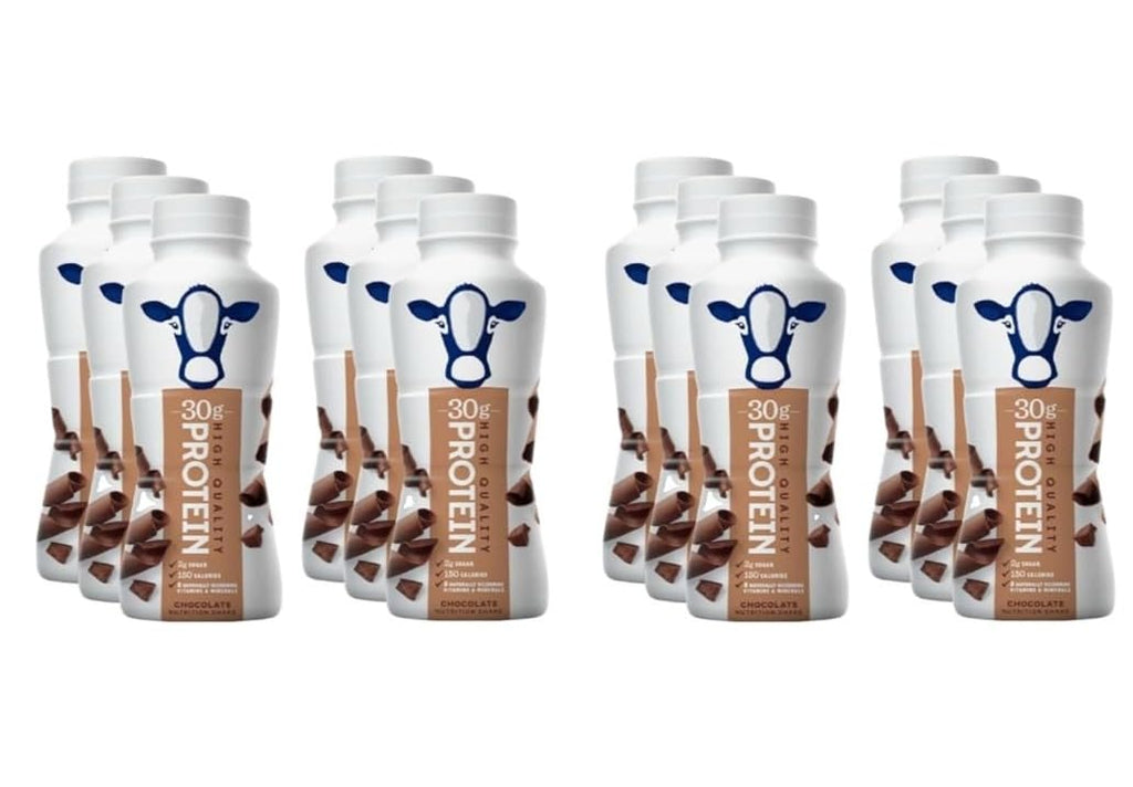 Chocolate Protein Shakes 12 Pack 30g Protein Low Sugar Lactose-Free 11.5 fl oz I349