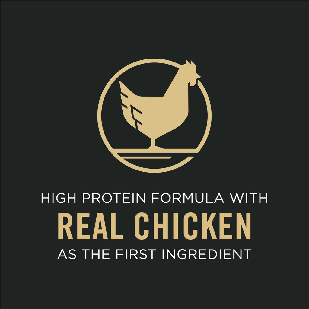 Chicken & Rice Senior Dog Food 16 lb Bag C2297