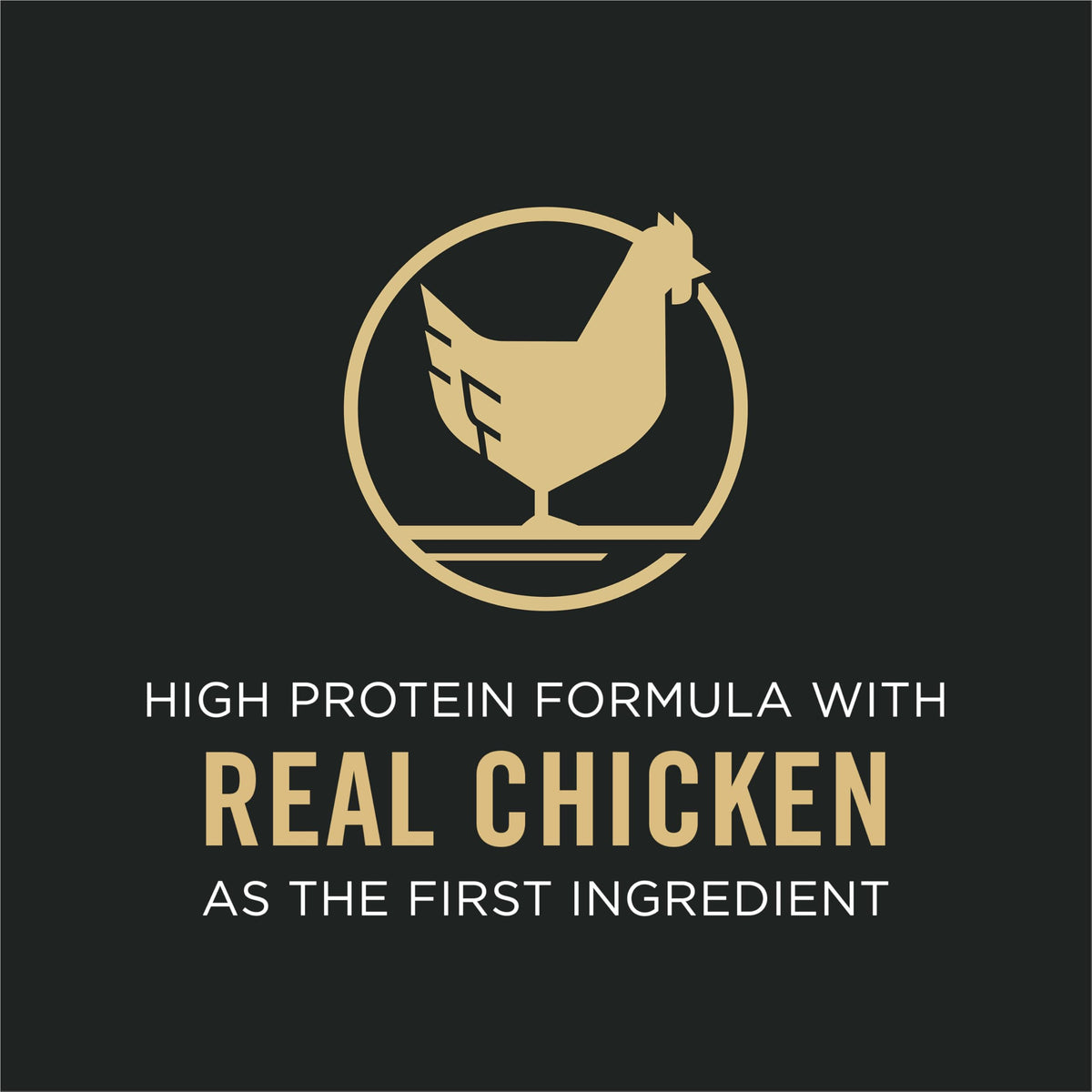 Chicken & Rice Senior Dog Food 16 lb Bag C2297
