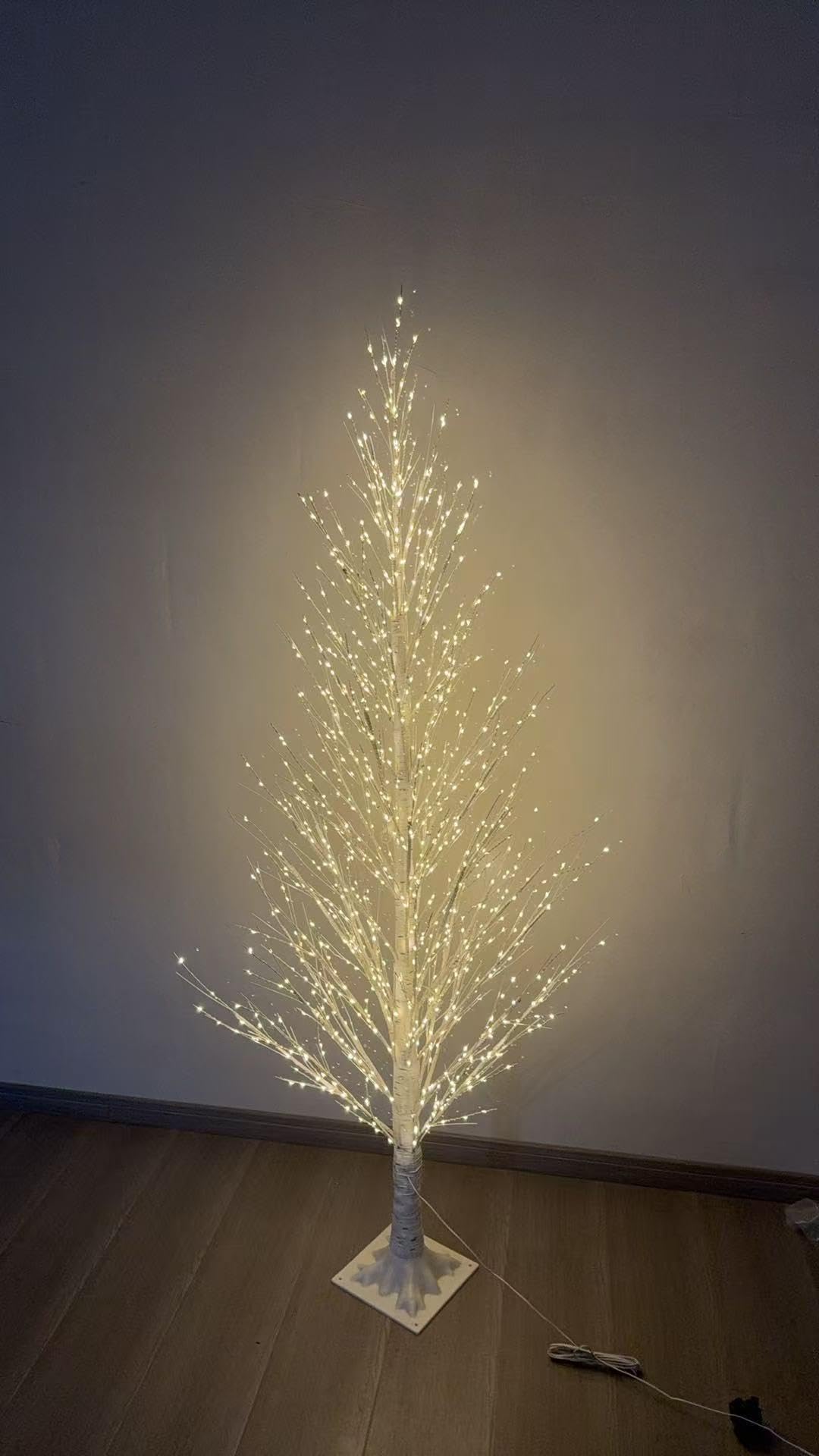 8 FT White Birch Tree B429