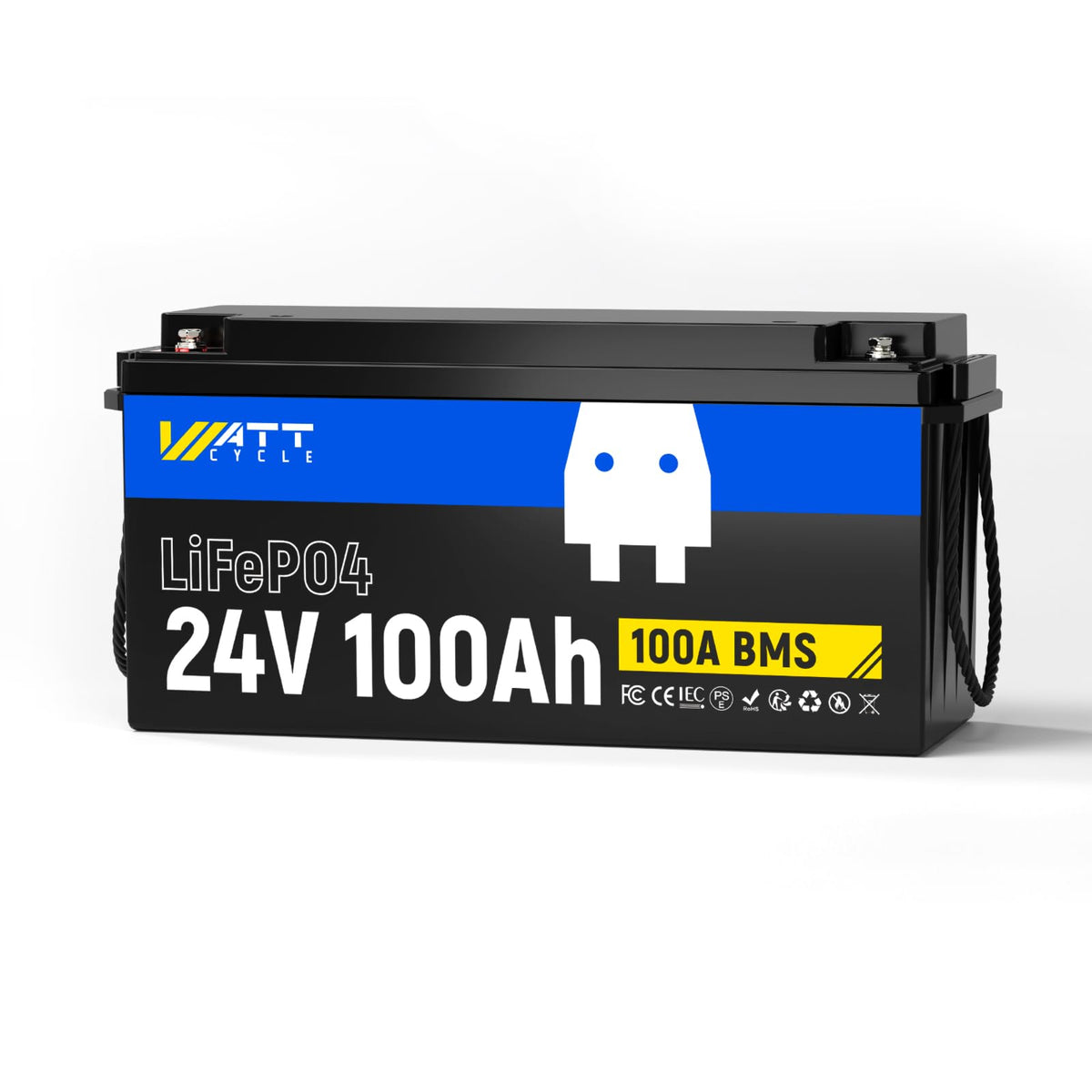 24V 100Ah LiFePO4 Battery N4491