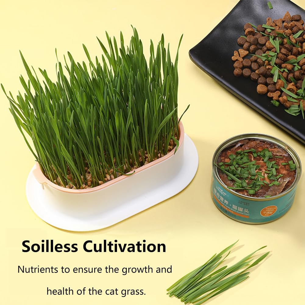 3 Pack Hydroponic Seed Sprout Tray X8046