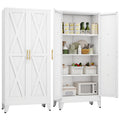 61" Metal Kitchen Pantry Storage Cabinet with 2 Doors and 3 Adjustable Shelves J768