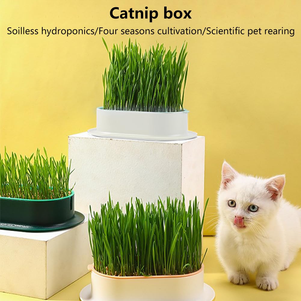 3 Pack Hydroponic Seed Sprout Tray X8046