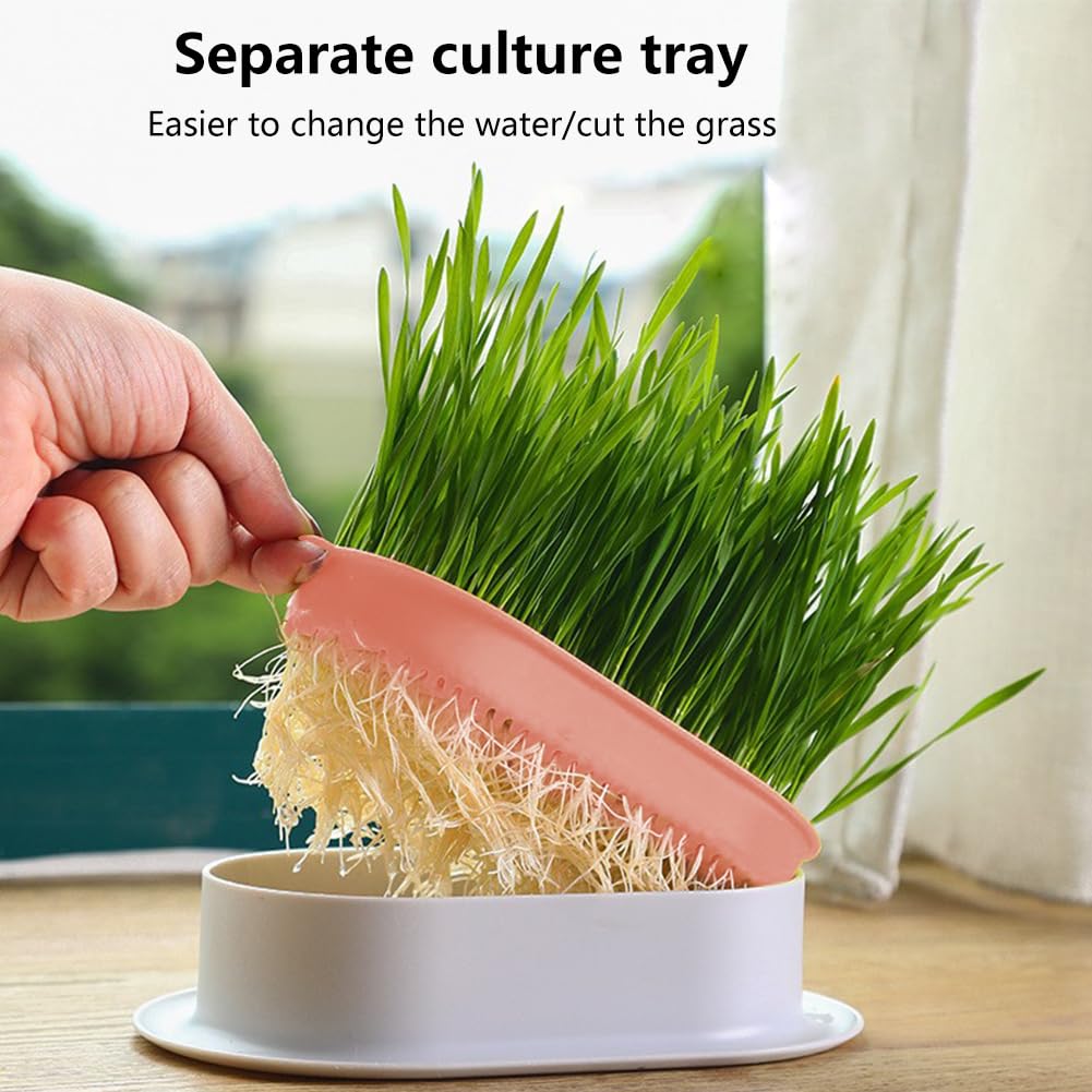 3 Pack Hydroponic Seed Sprout Tray X8046