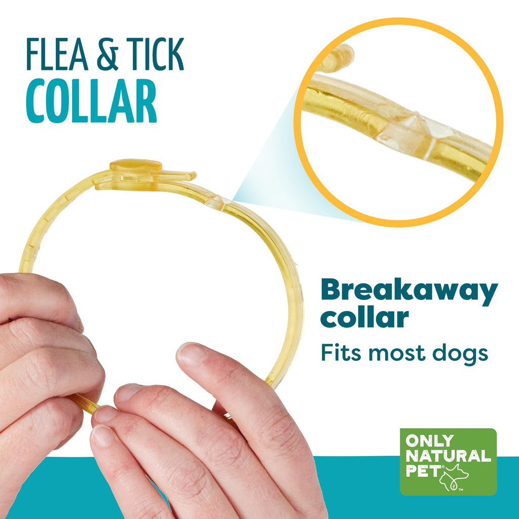 Flea & Tick Dog Collar One Size Fits All B342