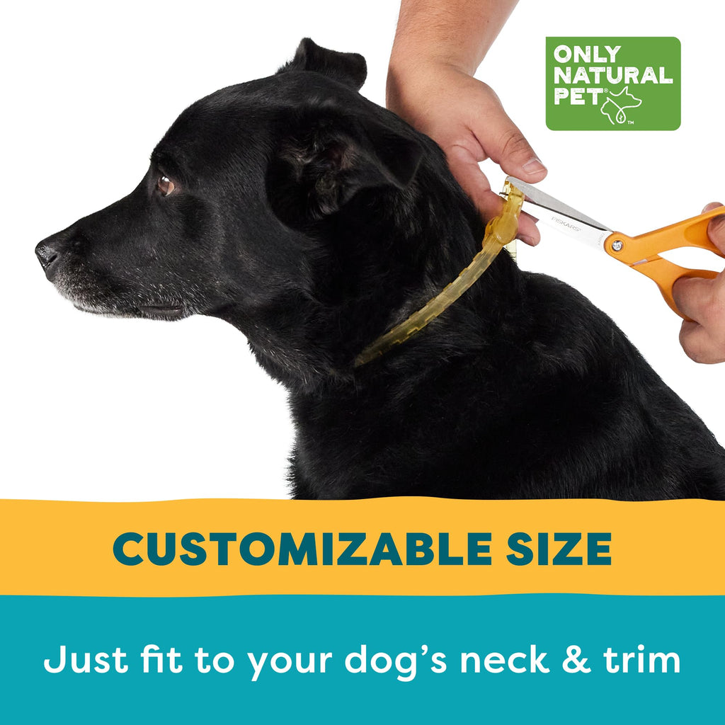 Flea & Tick Dog Collar One Size Fits All B342