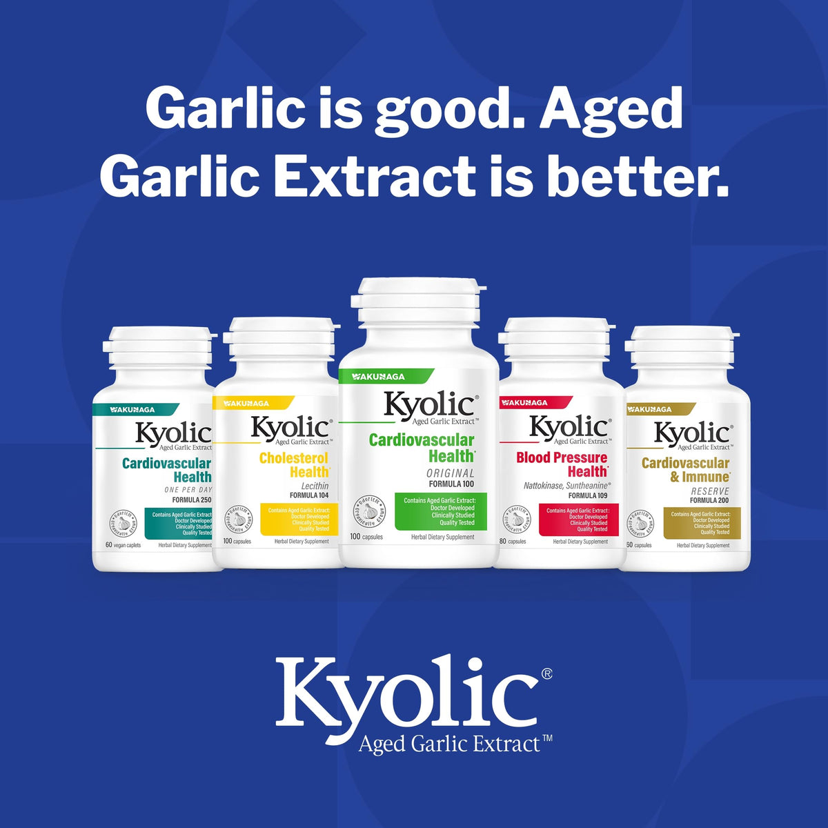 Aged Garlic Extract 300 Capsules I2162