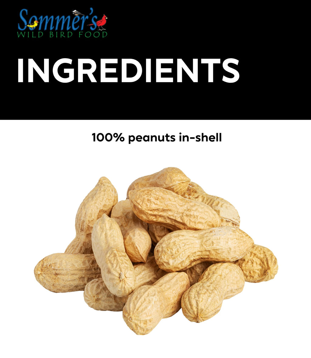 Raw Peanuts in Shell Bird & Wildlife Feed 25 lb X4451