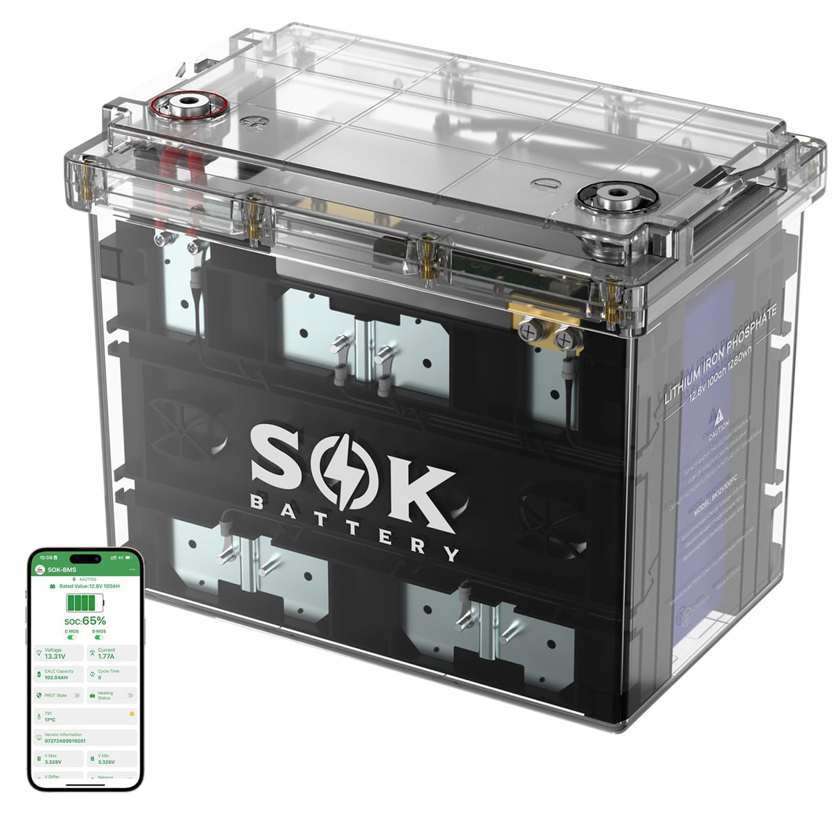 12V 100Ah LiFePO4 Marine Battery BCI Group 24 A923