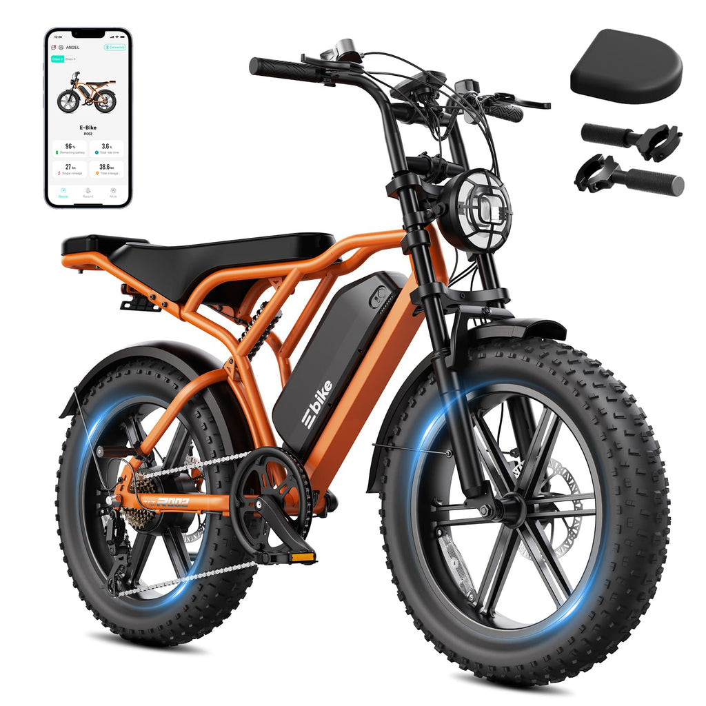Electric Bike 2000W Peak Motor 48V Removable Battery Y398073