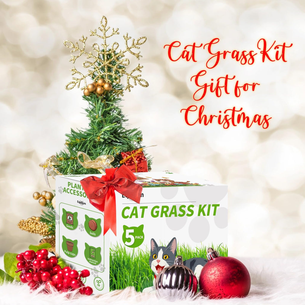 Cat Grass Growing Kit V9918