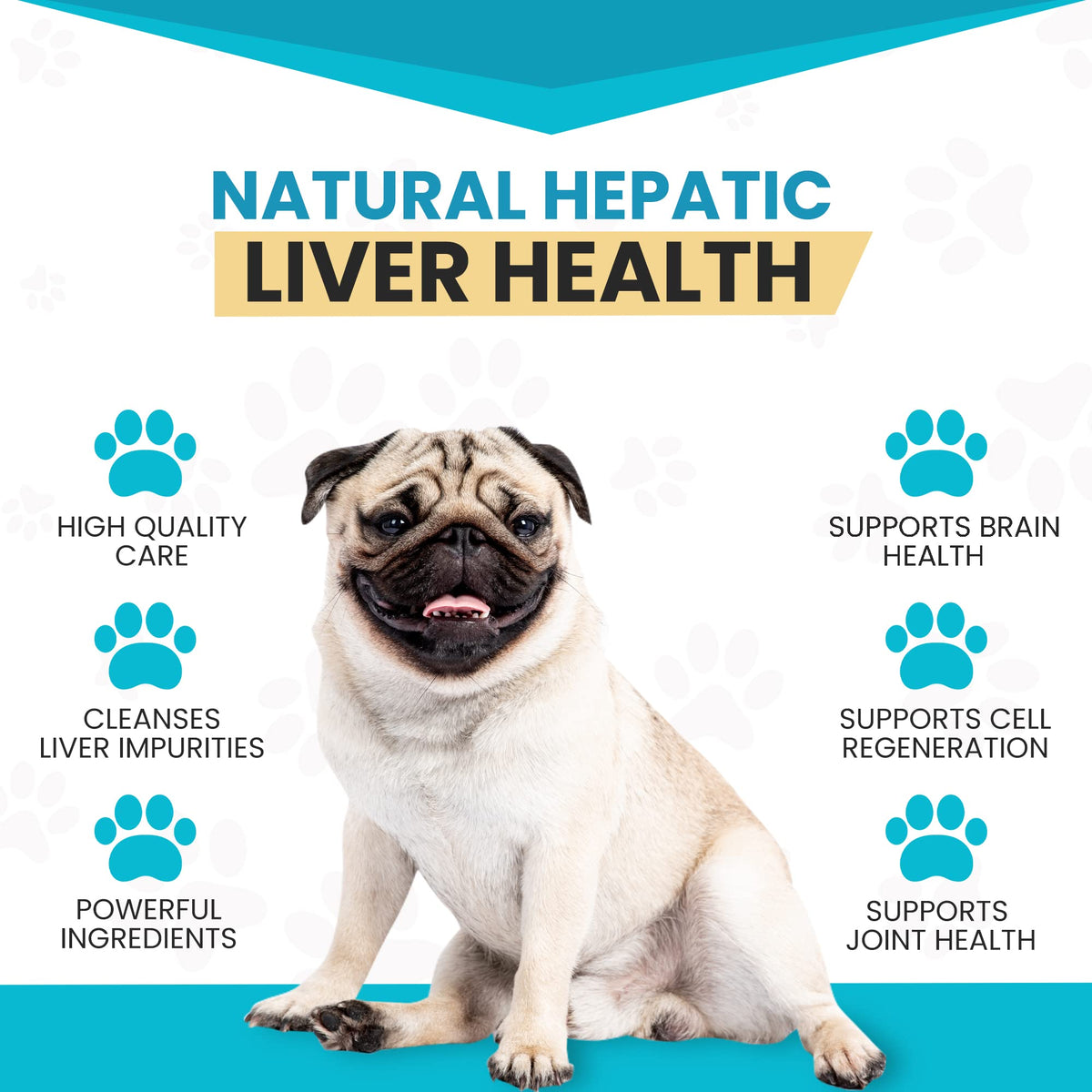 Milk Thistle & SAMe100 for Dogs H824