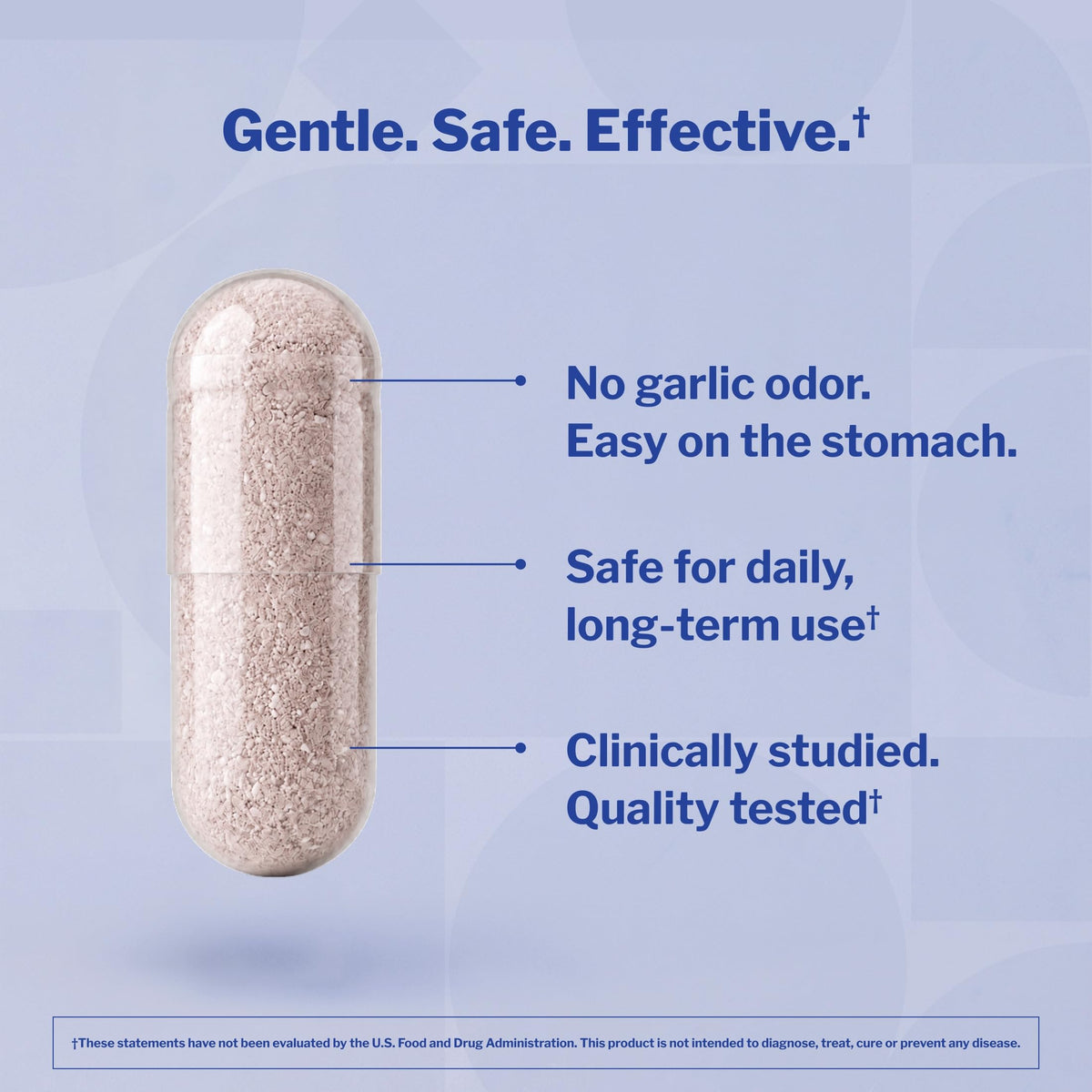 Aged Garlic Extract 300 Capsules I2162