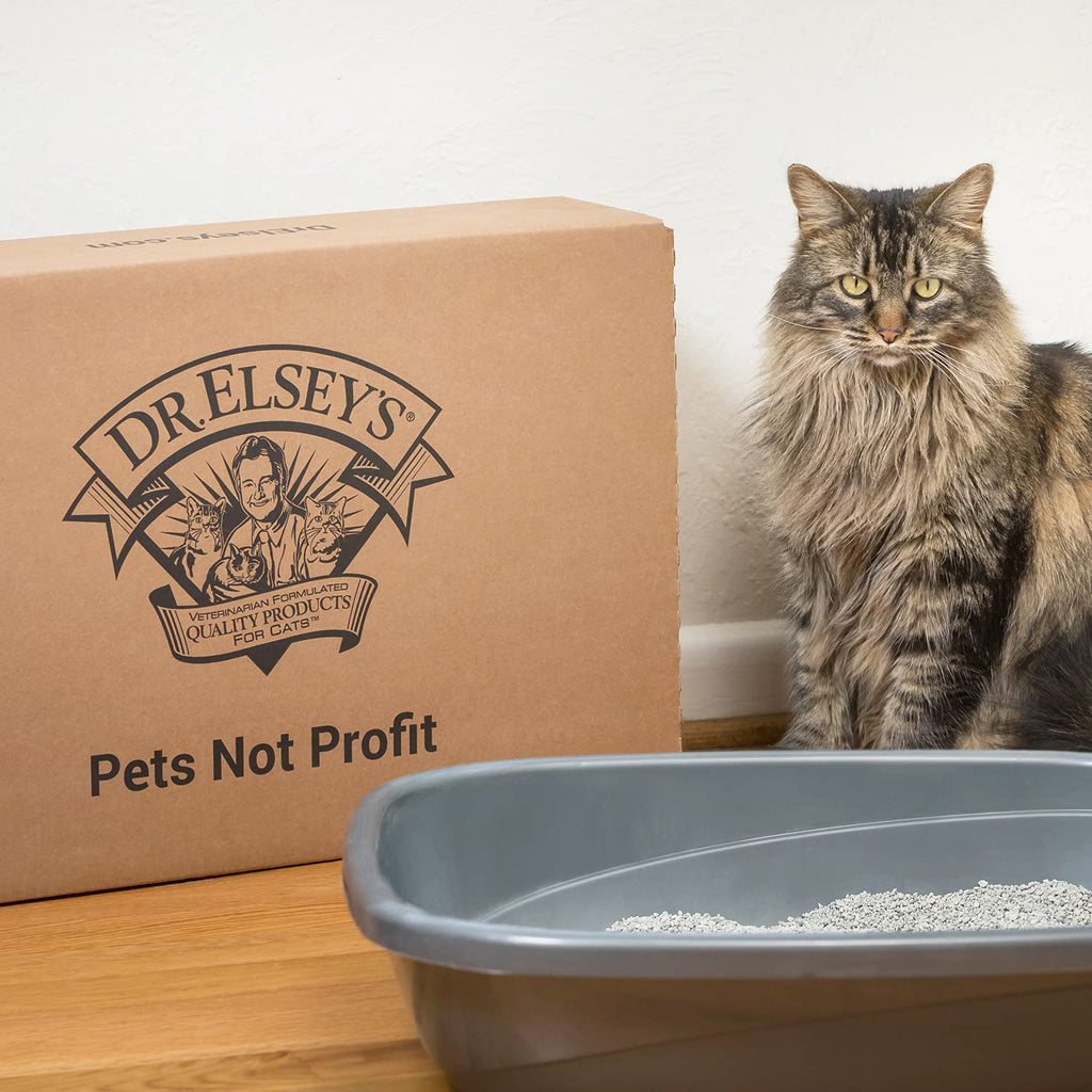 Clumping Clay Cat Litter 18 lb. Bag X16362