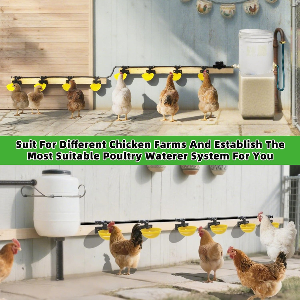 Automatic Chicken Water System Set with Water Cup G409684