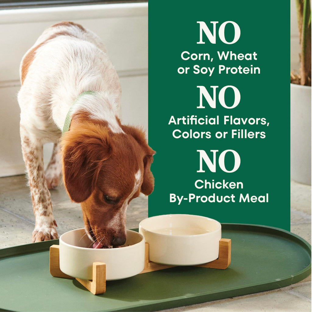 Chicken & Rice Dry Dog Food R872