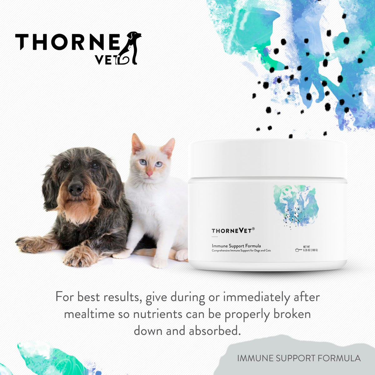 Immune Support Powder for Dogs & Cats, 90 Scoops A69351