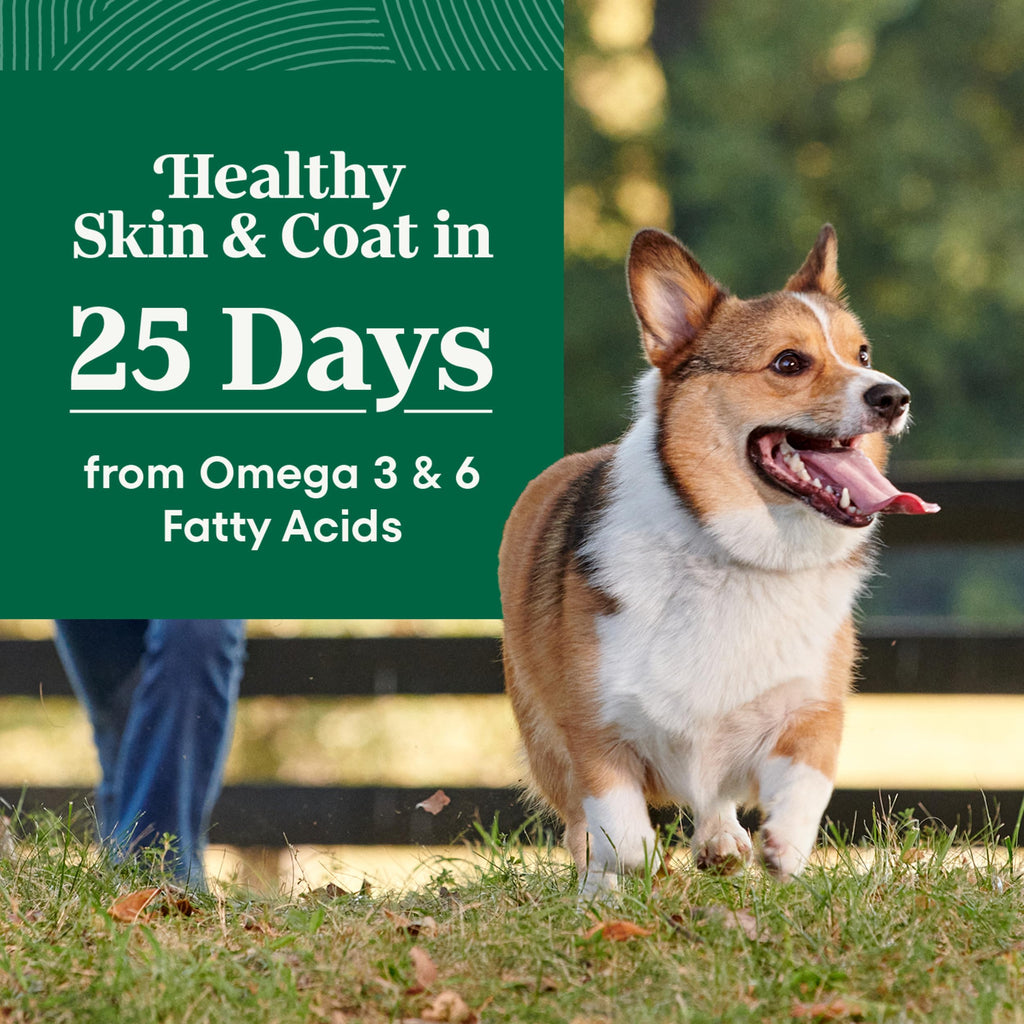 Chicken & Rice Dry Dog Food R872