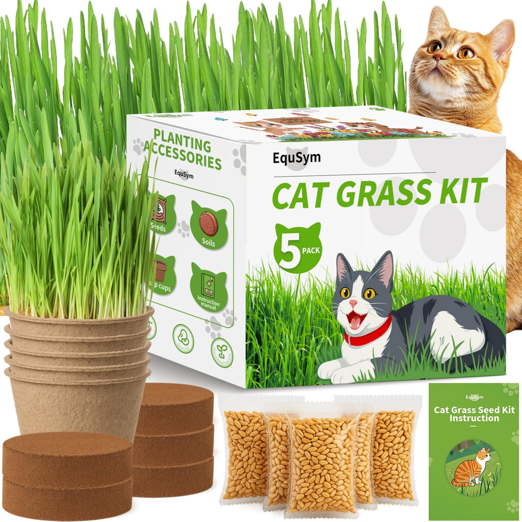 Cat Grass Growing Kit V9918