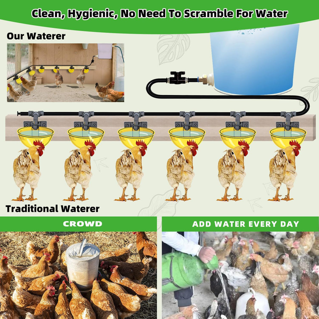 Automatic Chicken Water System Set with Water Cup G409684