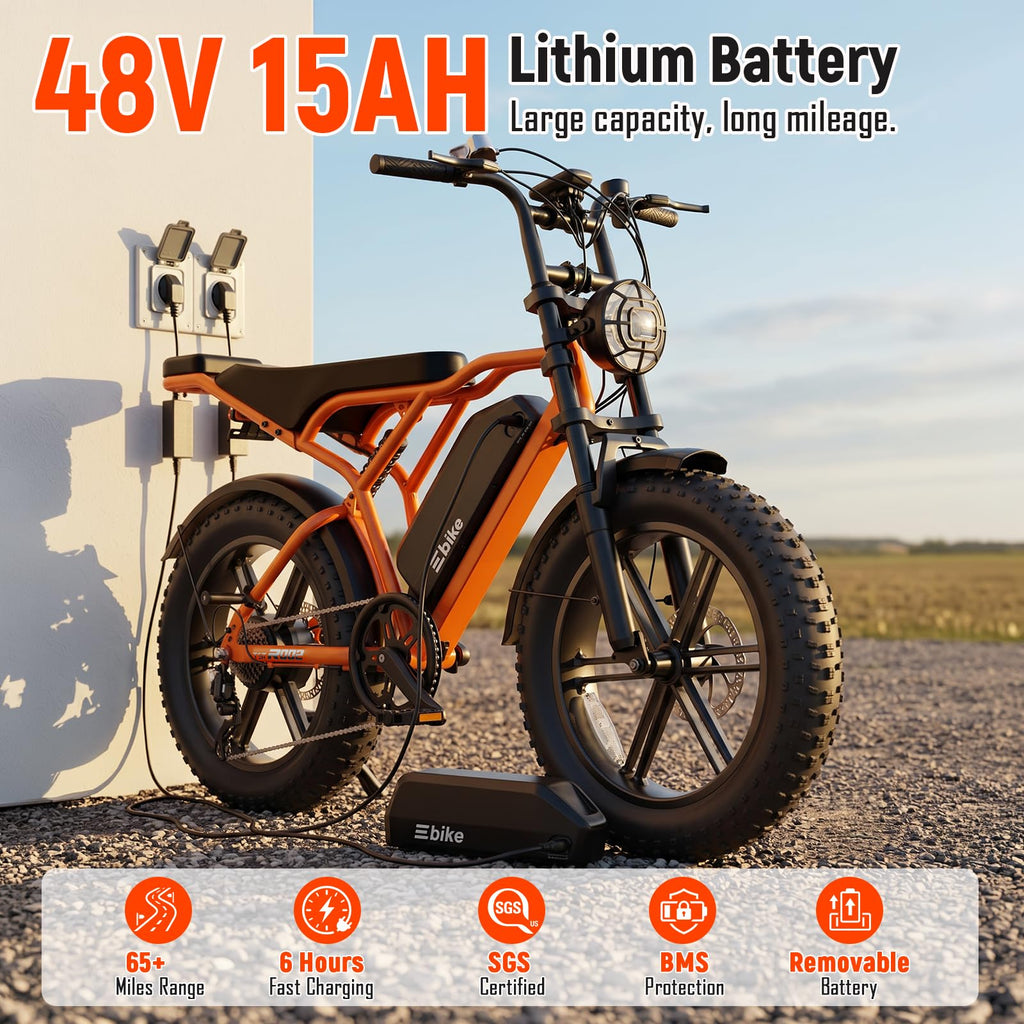 Electric Bike 2000W Peak Motor 48V Removable Battery Y398073