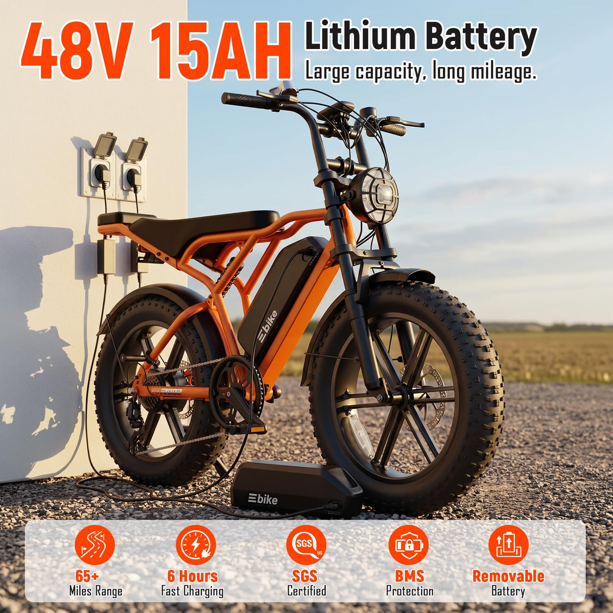 Electric Bike 2000W Peak Motor 48V Removable Battery Y398073