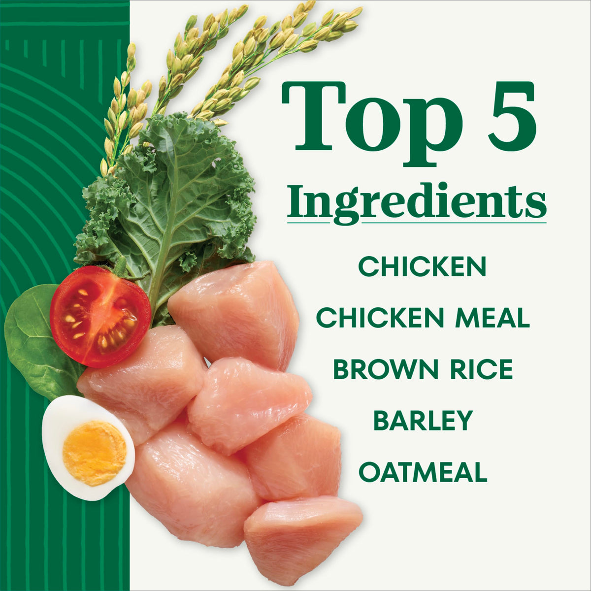 Chicken & Rice Dry Dog Food R872