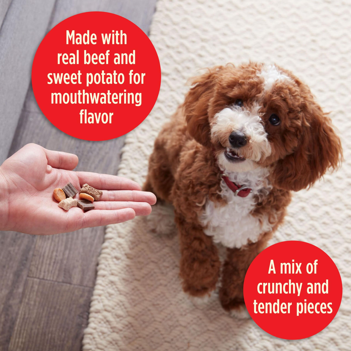 Crunchy & Chewy Dog Treats 20 Oz. Bag B33833