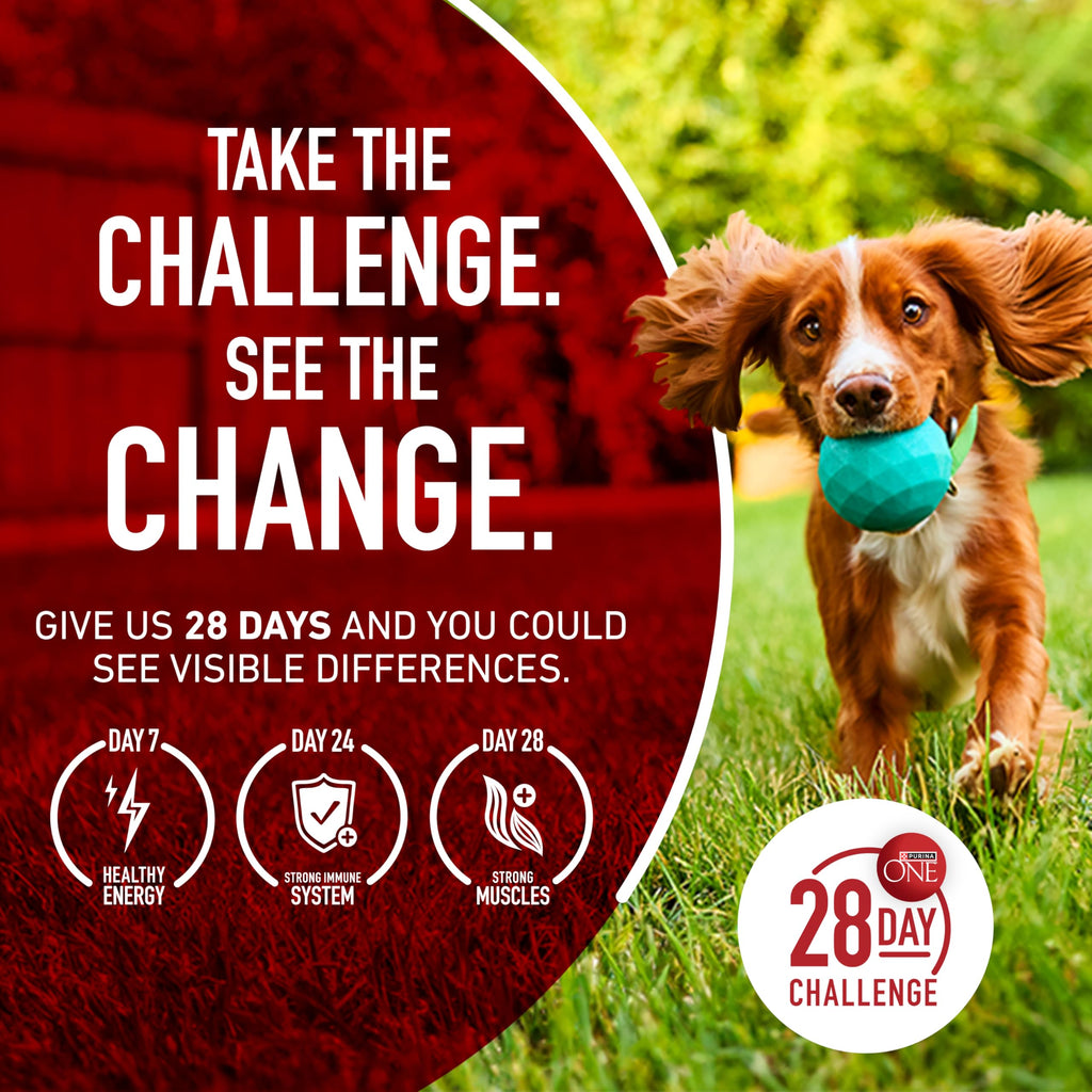 Dog Food Beef and Rice D23172