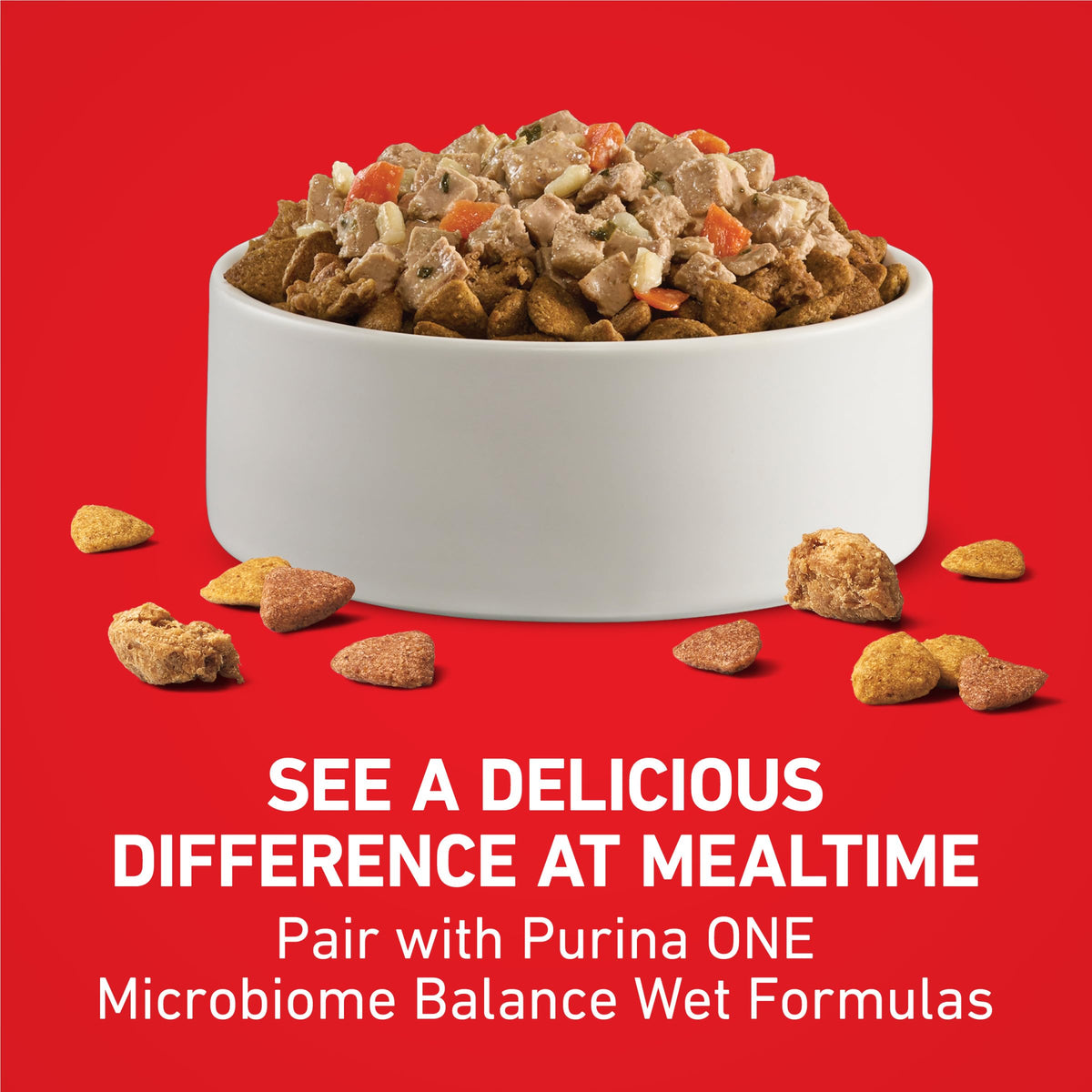 Dog Food Beef and Rice D23172