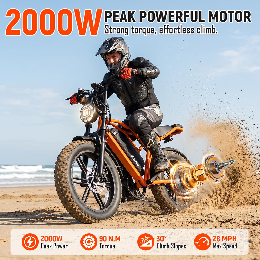 Electric Bike 2000W Peak Motor 48V Removable Battery Y398073