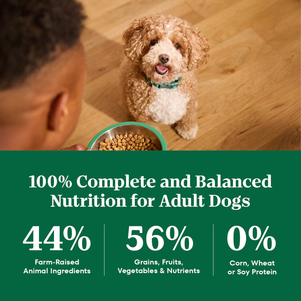 Chicken & Rice Dry Dog Food R872