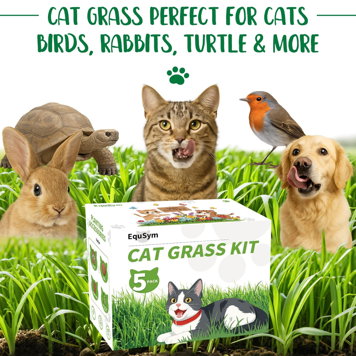 Cat Grass Growing Kit V9918