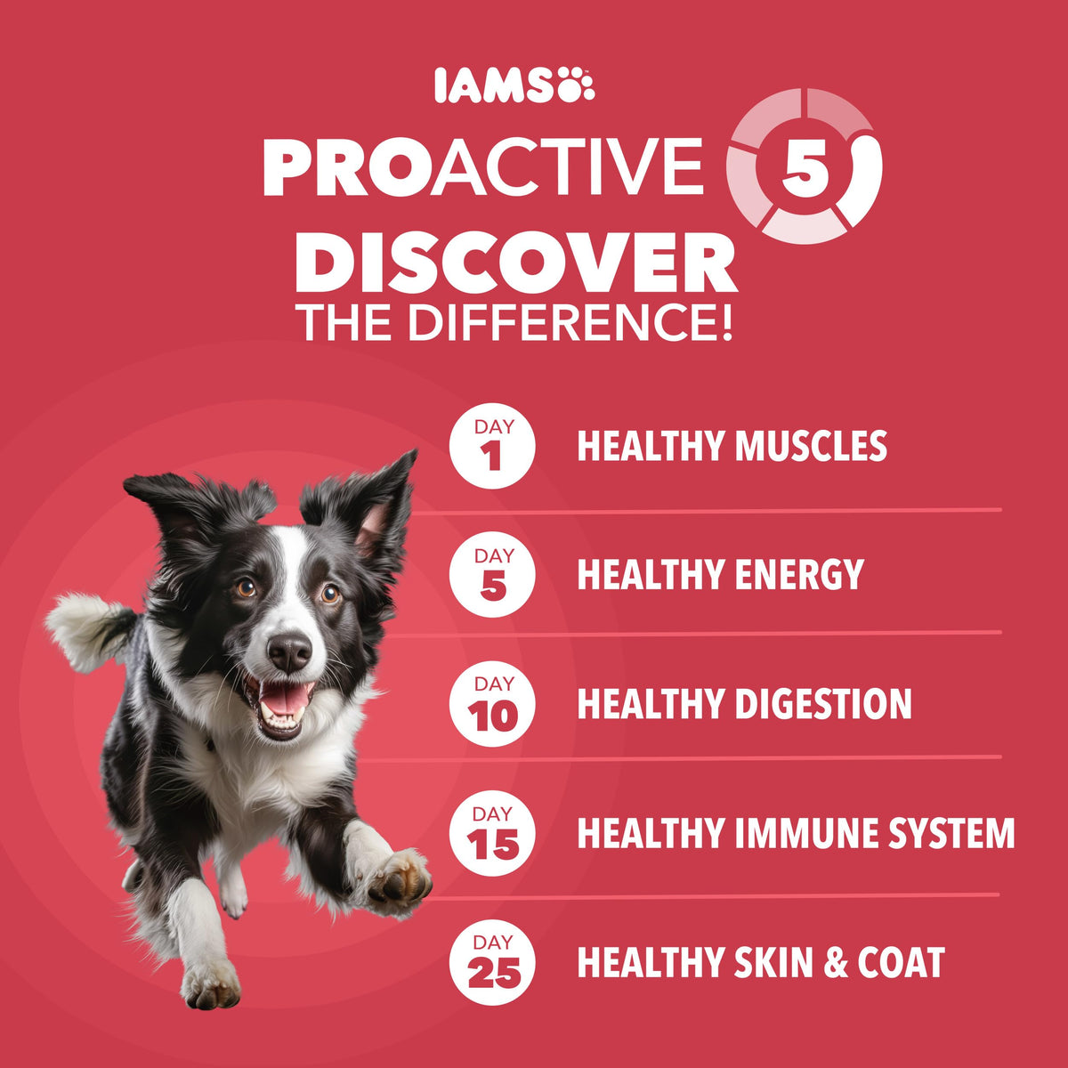 Lamb & Rice Dry Dog Food 30 lb Y177337