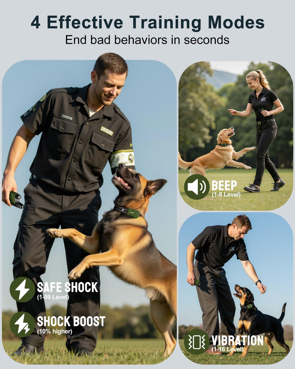 Dog Training Collar with Remote E636