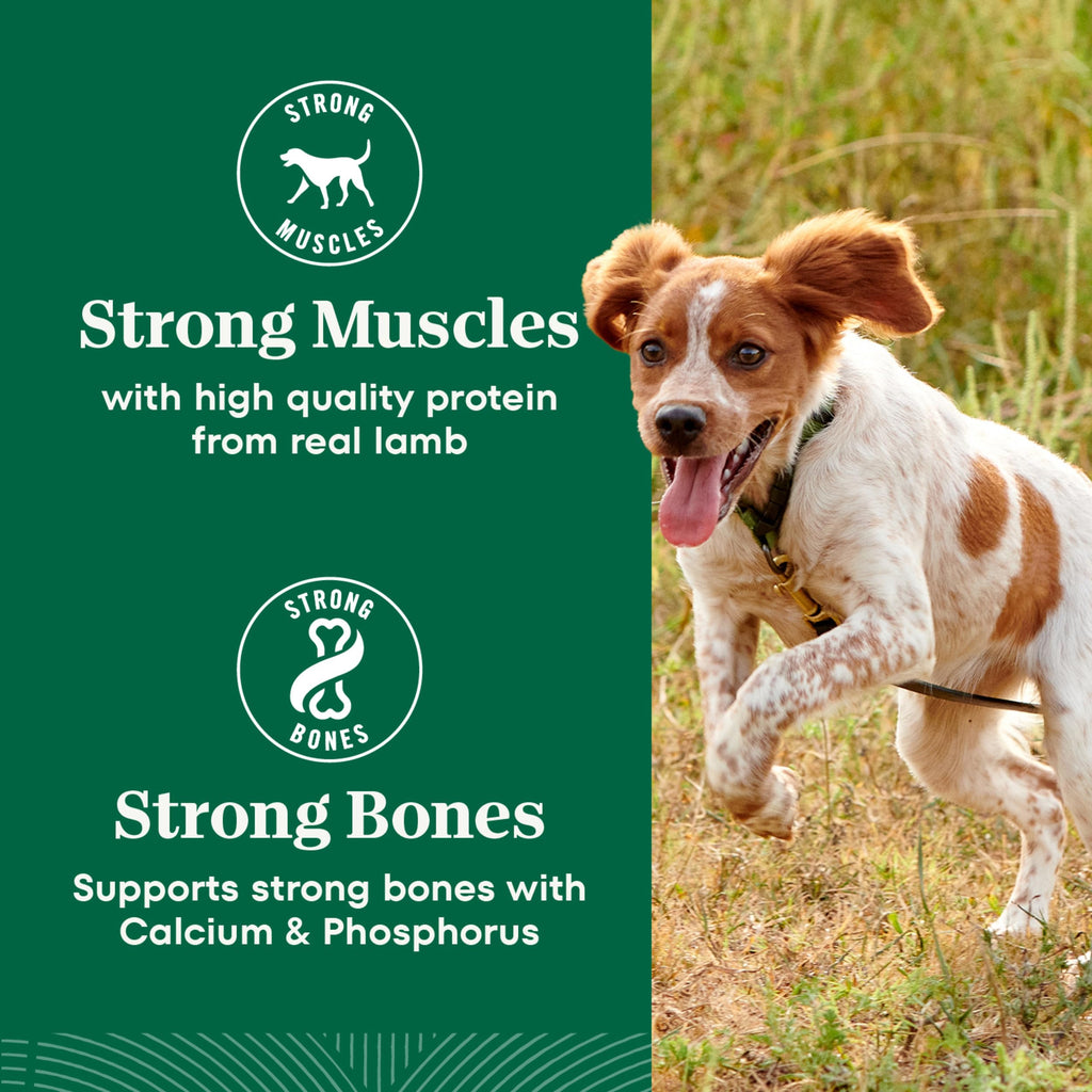 Chicken & Rice Dry Dog Food R872