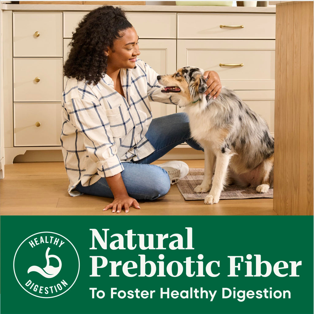 Chicken & Rice Dry Dog Food R872