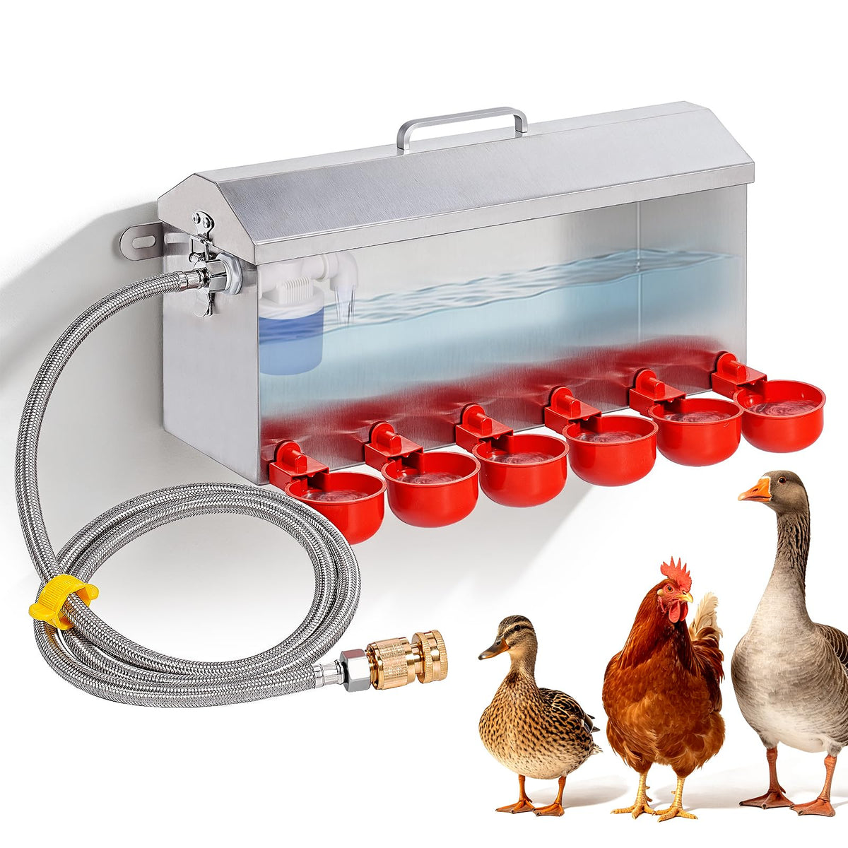 1.5 Gallon Metal Automatic Chicken Waterer O4537