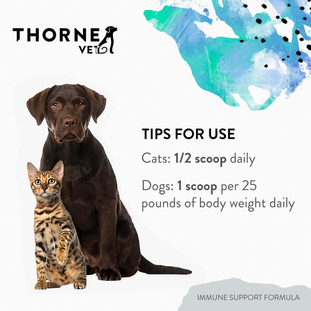 Immune Support Powder for Dogs & Cats, 90 Scoops A69351