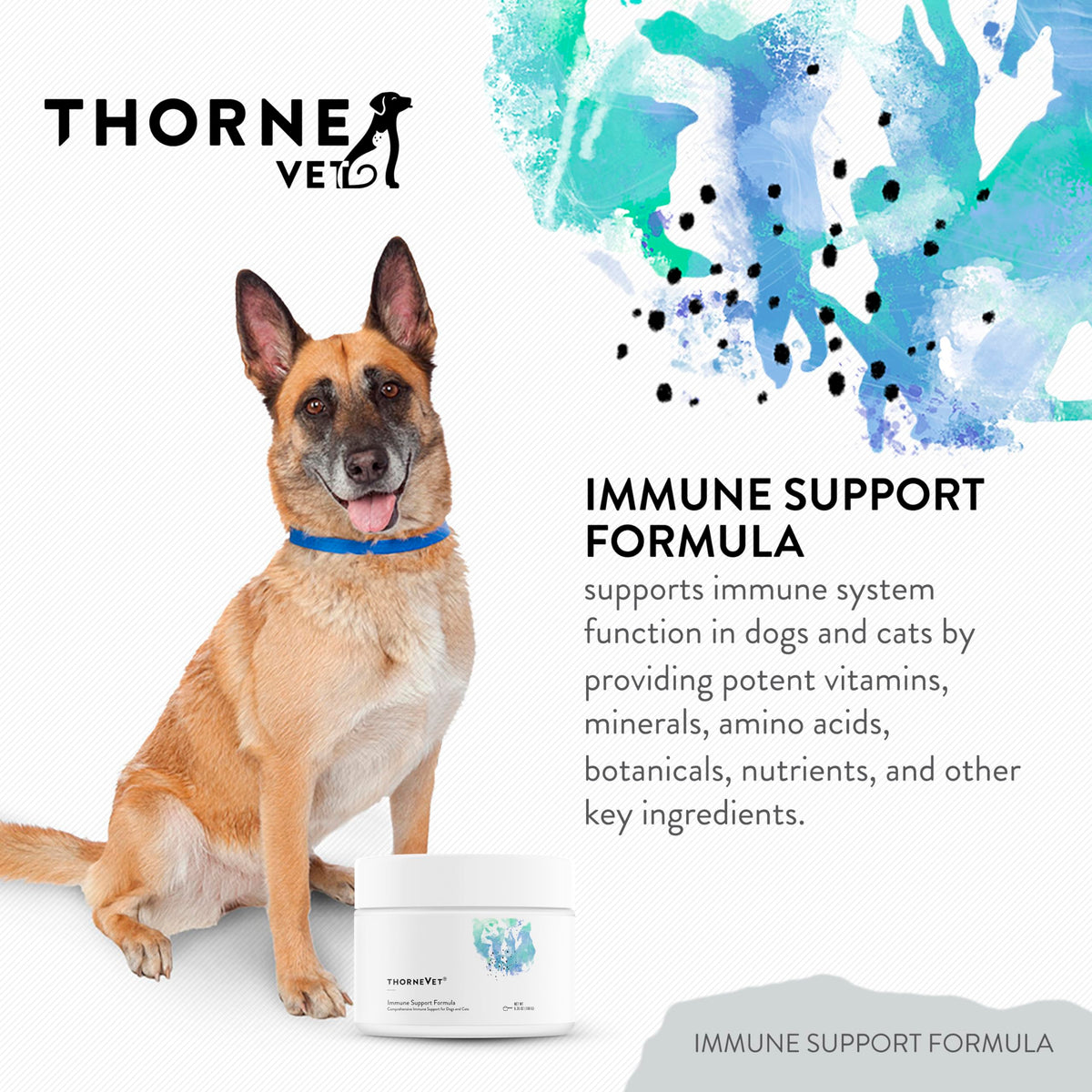 Immune Support Powder for Dogs & Cats, 90 Scoops A69351